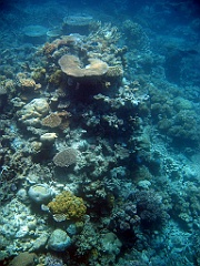 058 Great Barrier Reef